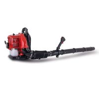 Scheppach petrol backpack leaf blower with engine and hose attachment