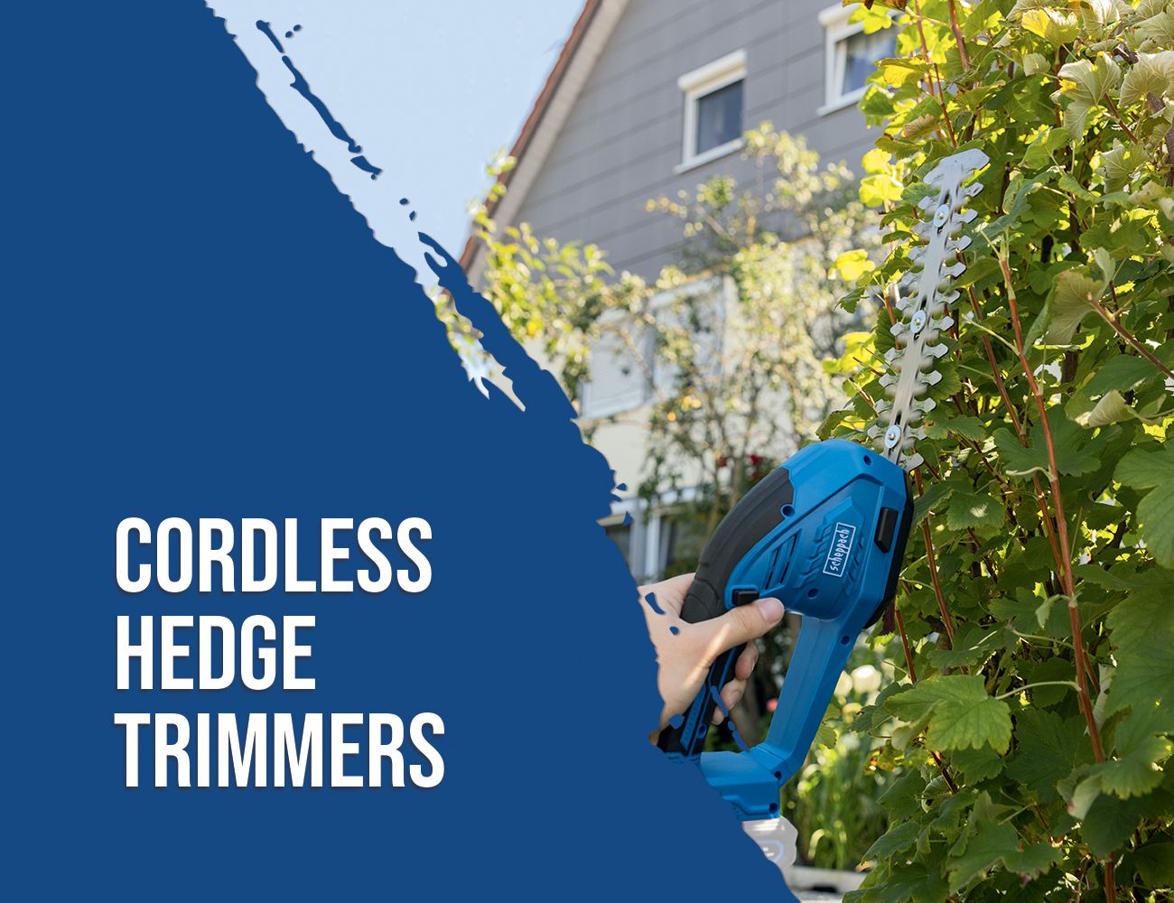 A Scheppach cordless hedge trimmer in use on a hedge in front of a house.