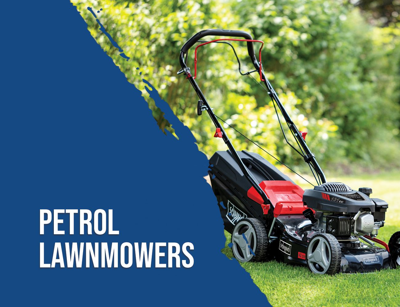 Scheppach petrol lawnmower on green grass in front of trees. Product category in the online shop.