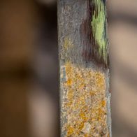Metal wire brush with worn bristles, viewed from the side.