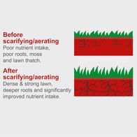 Before scarifying/aeration: poor nutrient uptake, weak roots, moss, and thatch; after scarifying/aeration: dense and strong lawn with deeper roots and improved nutrient intake
