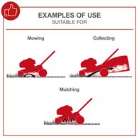Diagram showing examples of usage for a Scheppach lawnmower: Mowing, collecting, and mulching