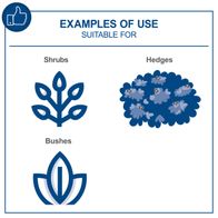 Diagram showing shrubs, bushes, and hedges for product feature illustration of Scheppach hedge trimmer