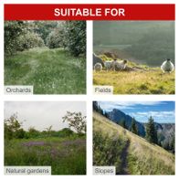 Natural landscapes: expanses of fields, meadows, gardens, and slopes with characteristic vegetation and scenery