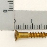 Self-tapping wood screw with integrated scale for Scheppach tool set
