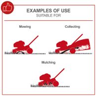 Depiction of lawnmower functions: mowing, collecting, and mulching with Scheppach equipment