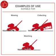 Scheppach lawnmower functions illustration: Mowing, collecting, and mulching
