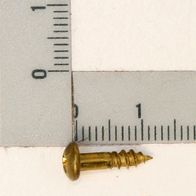 Brass screw with thread, approximately 3.5 mm diameter, 16 mm long