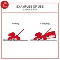 Depicts examples of Scheppach lawnmower usage: mowing and collecting grass.