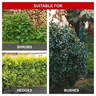 Diverse shrubs and hedges suitable for Scheppach Electric Telescopic Hedge Trimmer ETHT1000