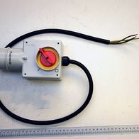 Switch-plug combination with scale and cable, photographed from the front.