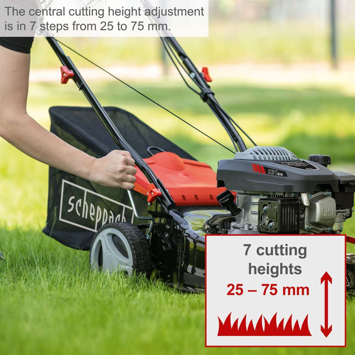 Scheppach petrol lawn mower with 7 height settings ranging from 25 to 75 mm
