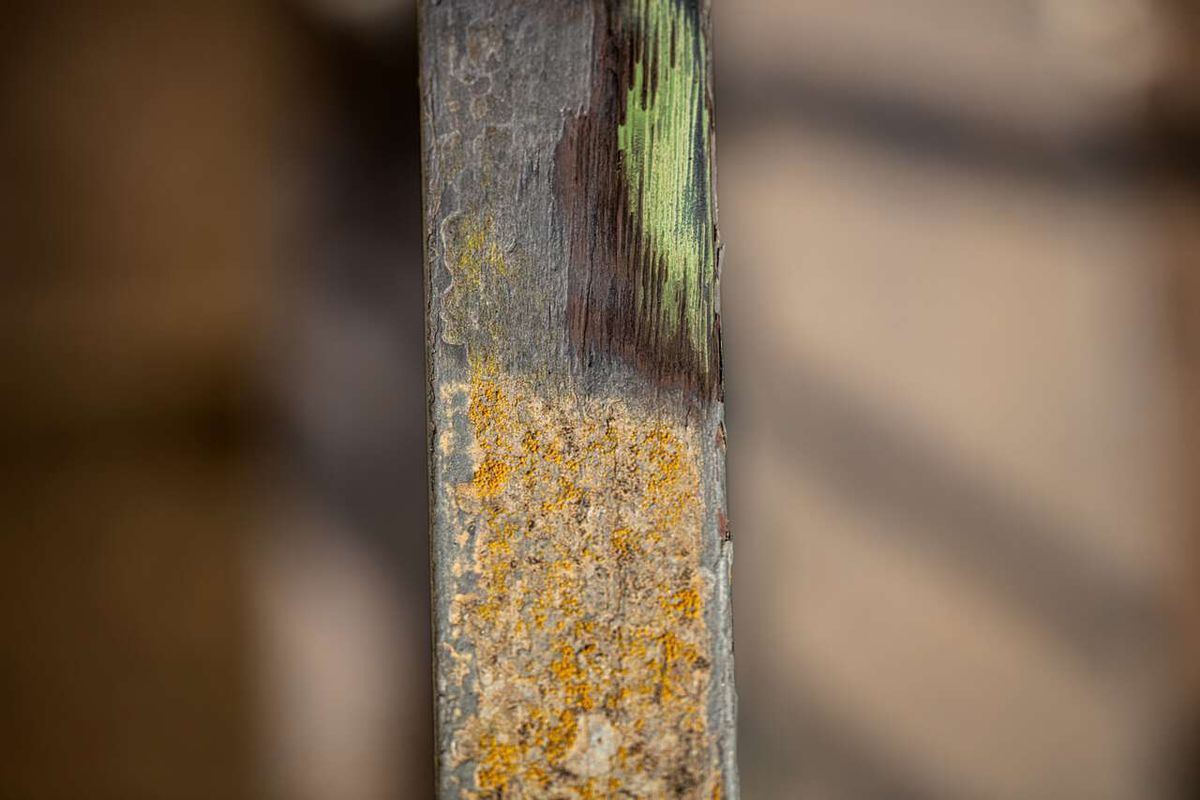 Metal wire brush with worn bristles, viewed from the side.