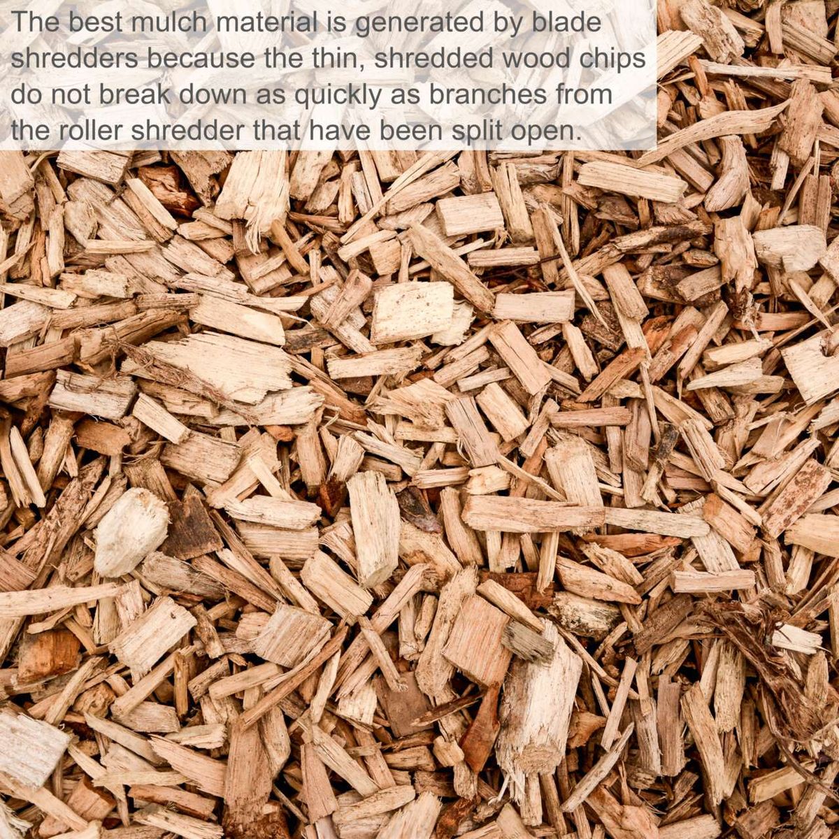 Wood mulch from finely shredded wood chips by Scheppach electric shredder, ideal for garden mulch