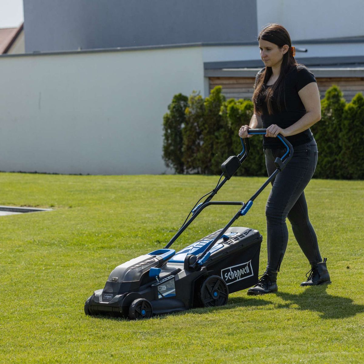 Scheppach cordless lawnmower BC-MP380-X with basket, actively mowing grass