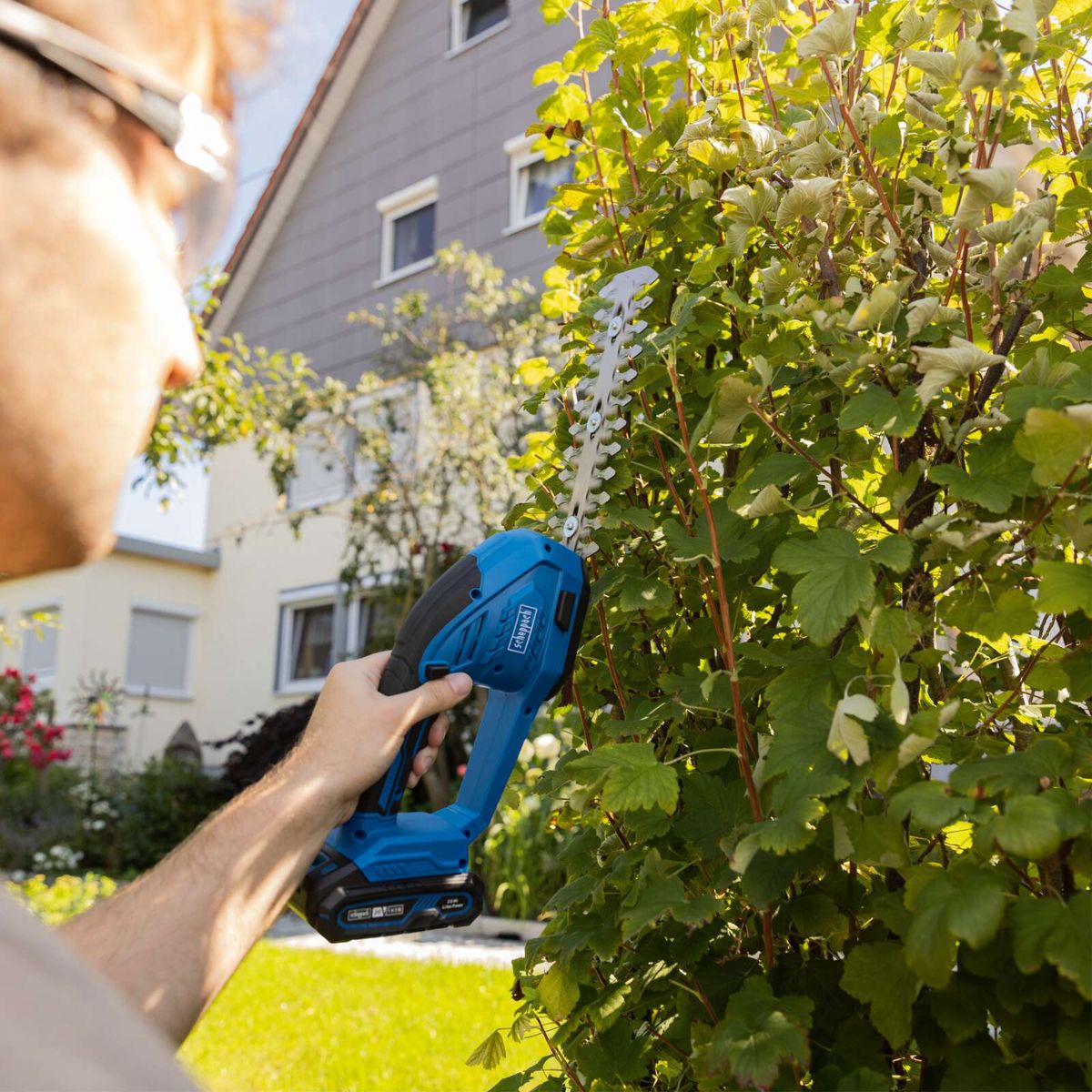 Person using cordless grass and shrub shears in outdoor gardening scene