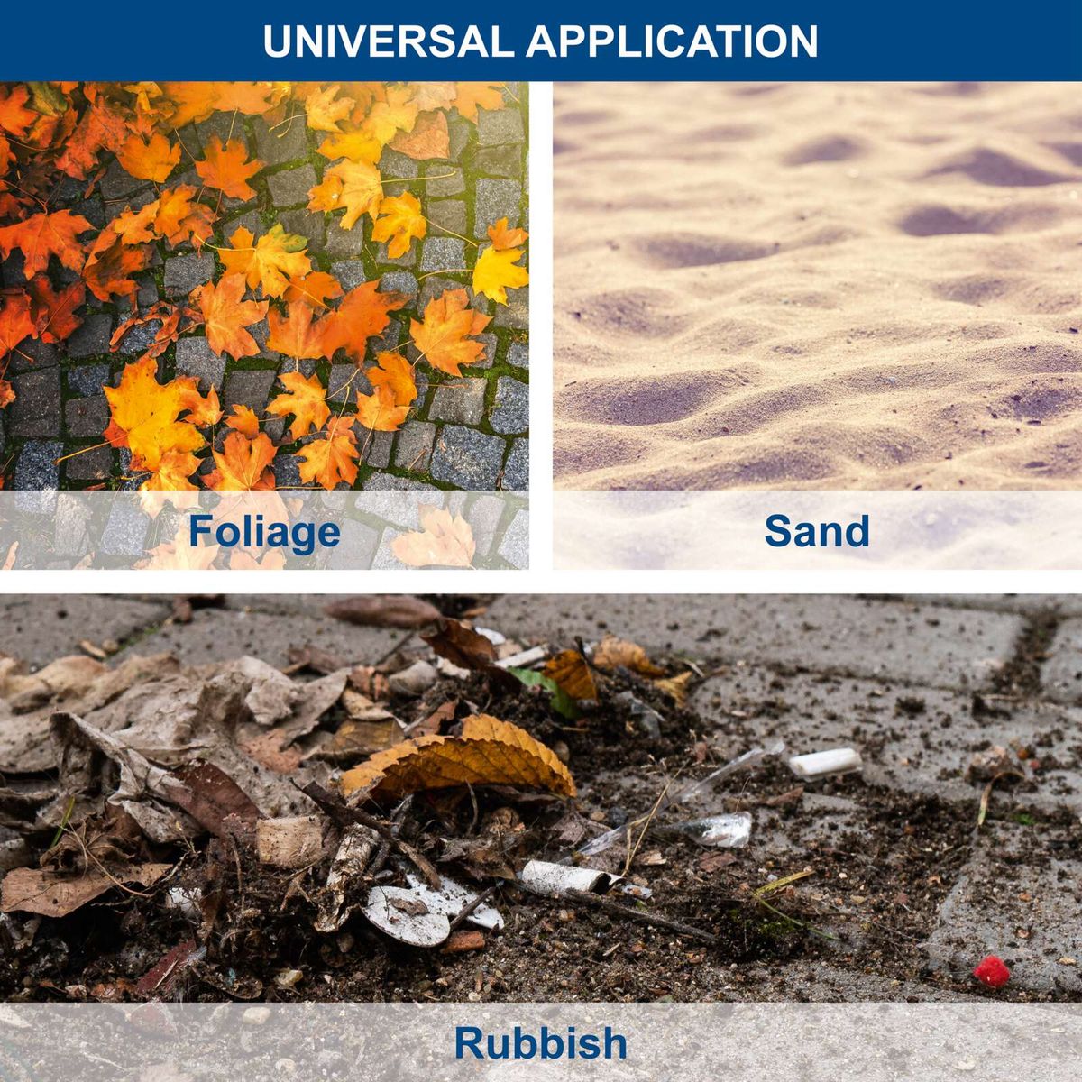 Natural elements including fallen leaves, sand, and organic debris in outdoor clearing