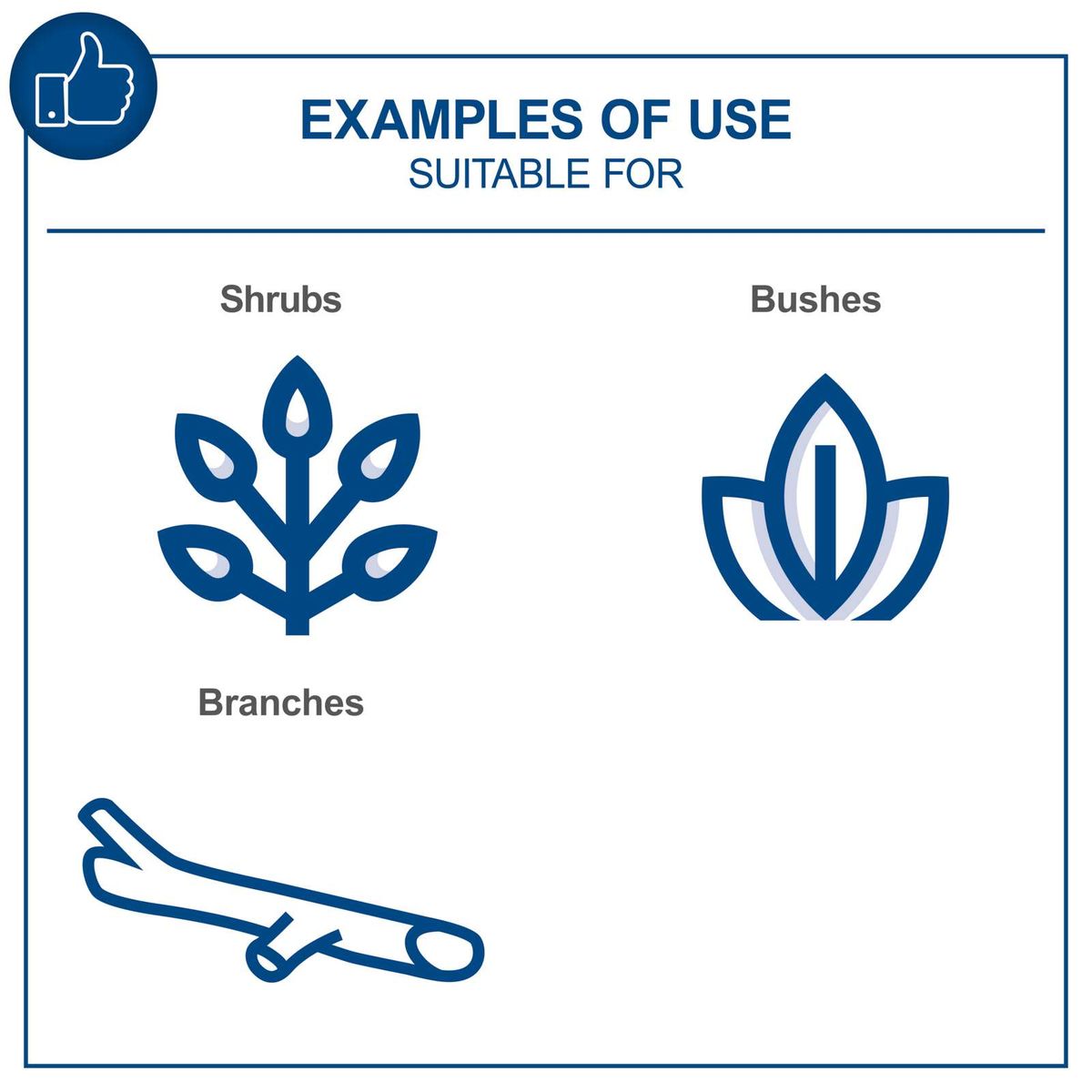 Examples of use for pruning tools: cutting branches, shrubs, and small bushes.