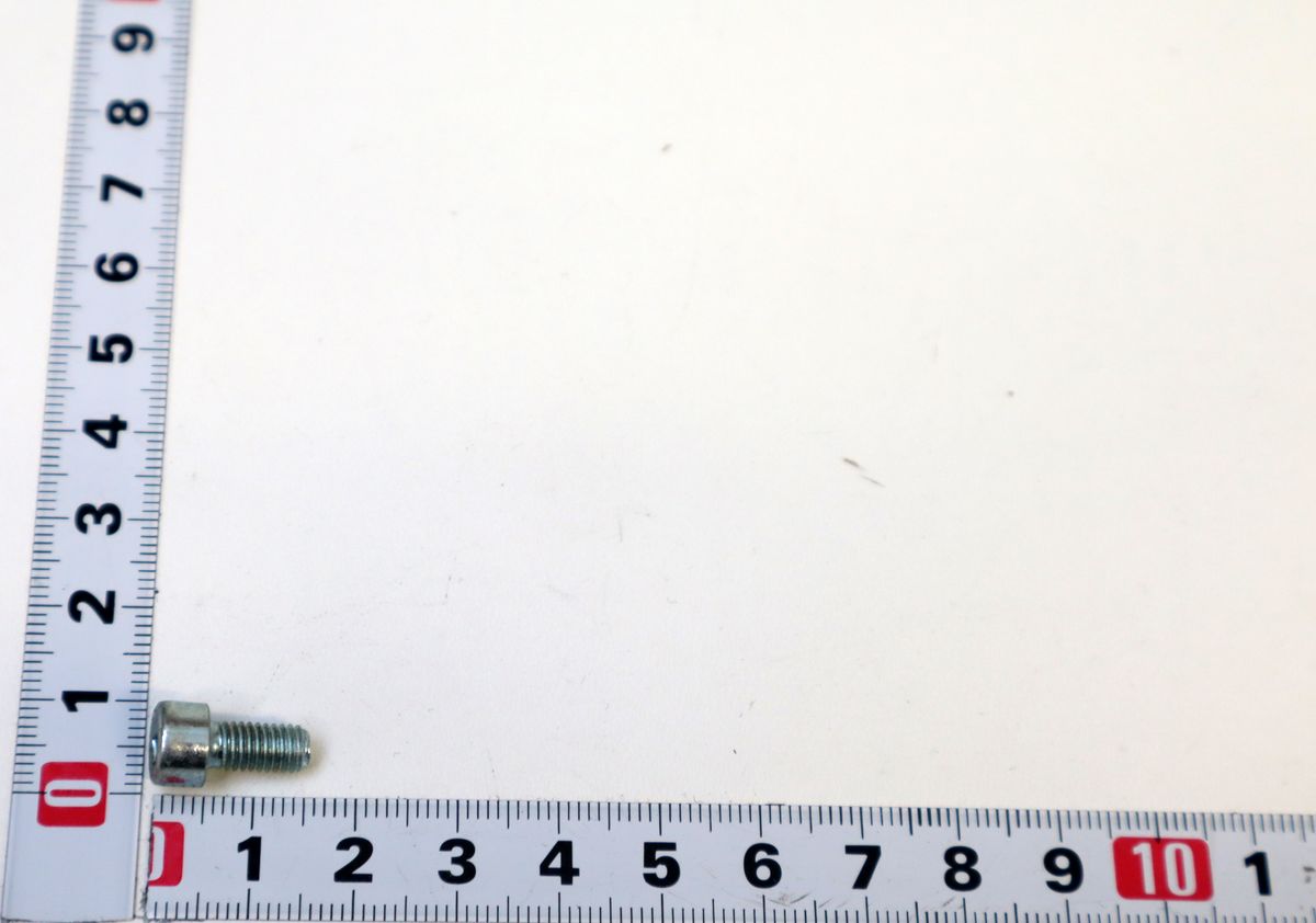 Cylindrical head screw with thread, scale indicating size