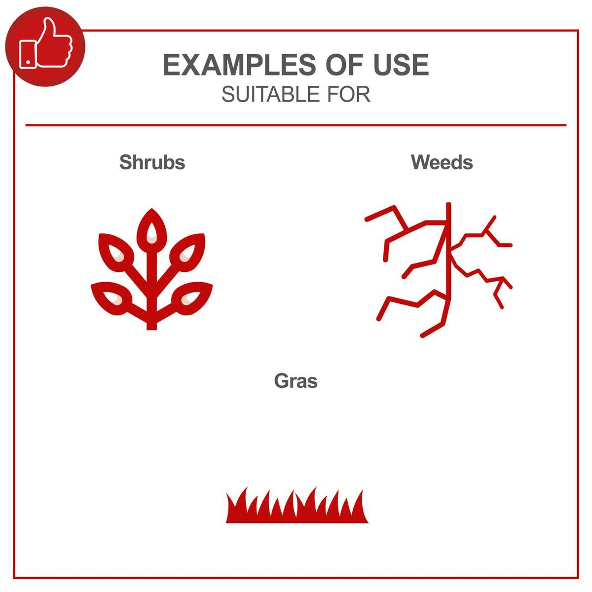 Illustrations showing examples of suitable plants (shrubs, weeds, grass) for Scheppach’s BCH3300PB brushcutter