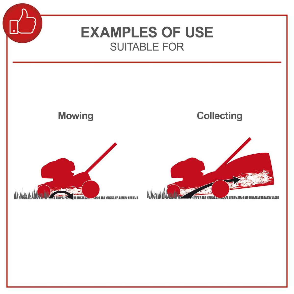 Depicts examples of Scheppach lawnmower usage: mowing and collecting grass.