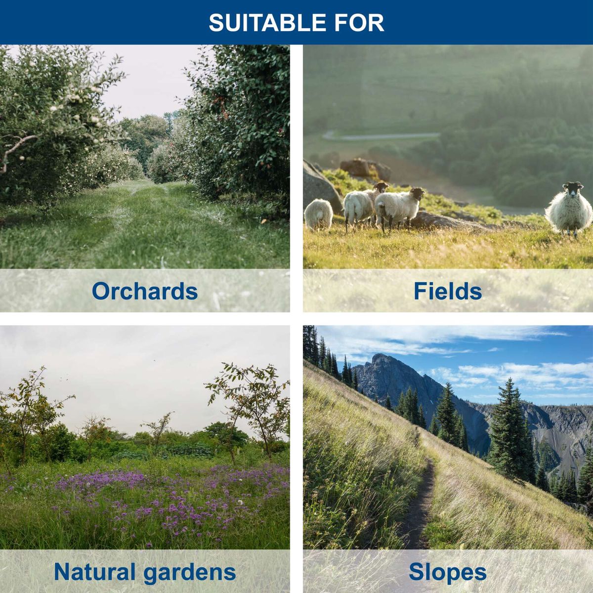 Scenic landscape images depicting orchards, fields with sheep, natural gardens with flowers, and slopes with a trail.