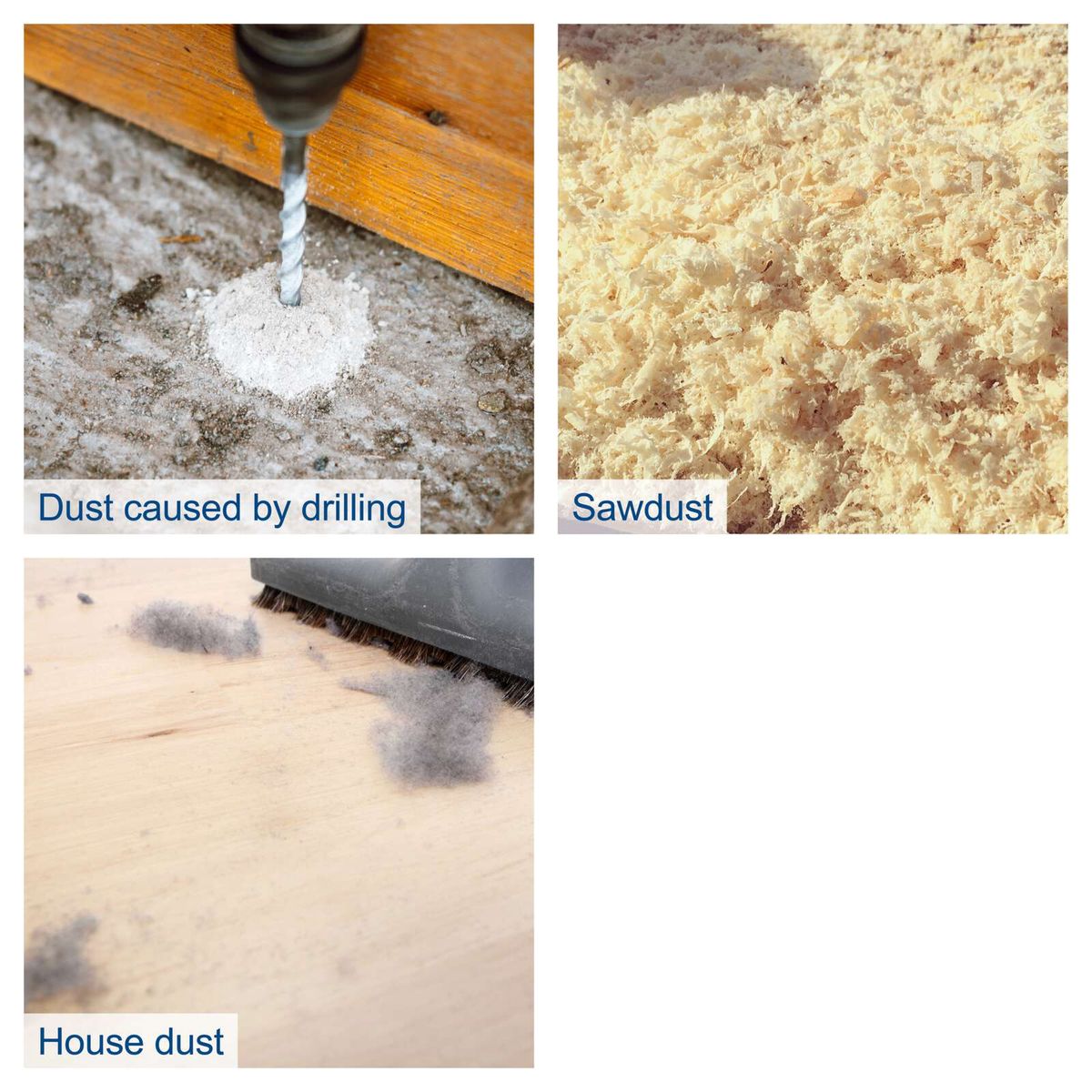 Dust from drilling, sawdust, and household dust in the HD2P suction unit by Scheppach
