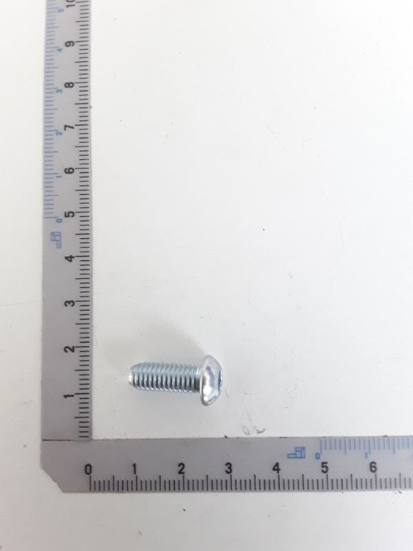 Scheppach oval head screw (M6x16) – close-up