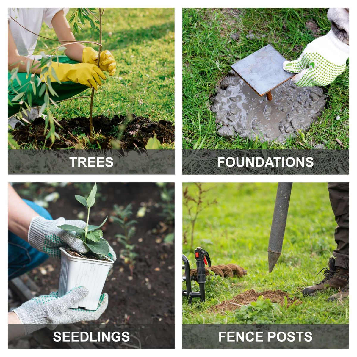 Planting trees, seedlings and fence posts with auger holes and planting bags shown