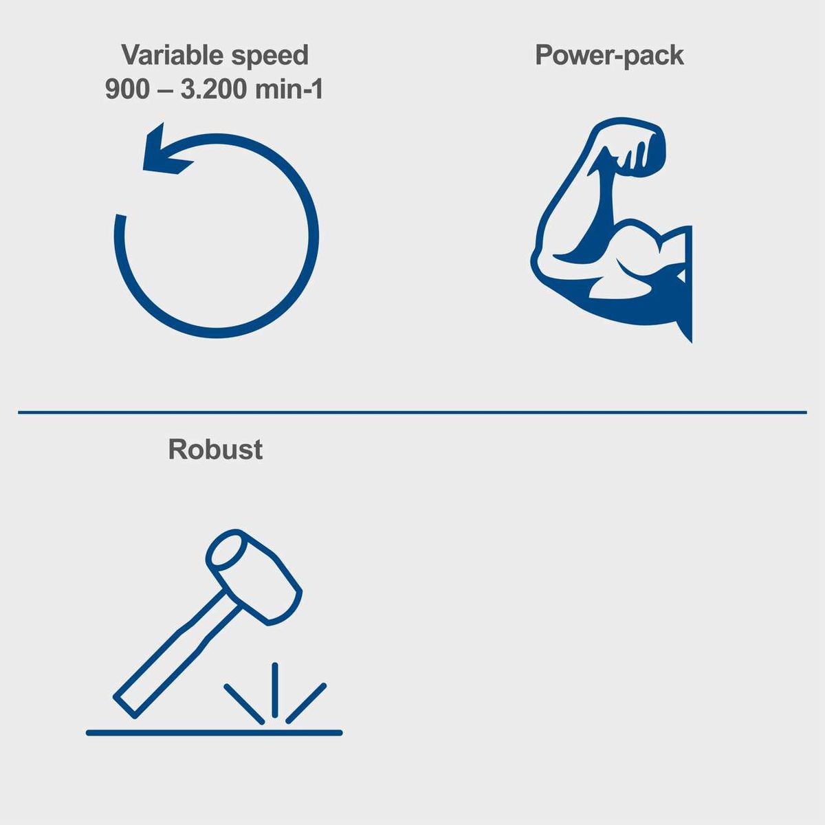 Key feature icons: variable speed (900–3,200 rpm), power output, and robust construction