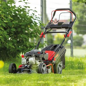 A Scheppach lawnmower on a green lawn. The lawnmower has a black seat and a red handle. Bushes and a fence are visible in the background.