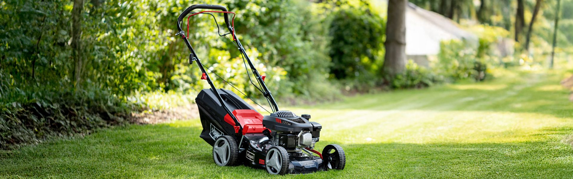 A Scheppach lawnmower on a green lawn in a garden. Bushes and trees are visible in the background.
